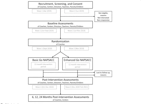 Fig. 1 Study timeline