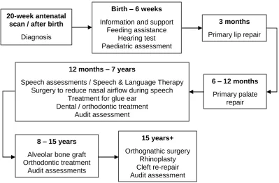 Figure 2: Typical treatment pathway for cleft lip and/or palate in the UK. 