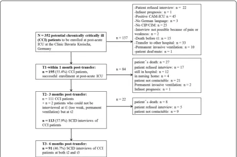 Fig. 1 Study flow diagram. n = 113 patients with CCI were interviewed at t2, n = 91 patients with CCI were interviewed at t3