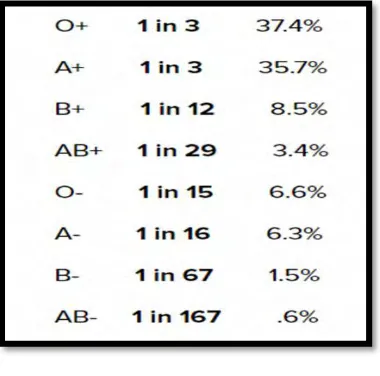 Figure 1.1: Percentage of population with blood group 