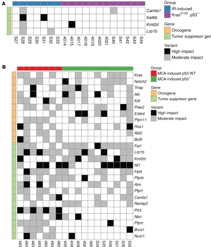 Figure 4. Nonsynonymous mutations in COSMIC genes across murine soft-tissue sarcomas. (mas