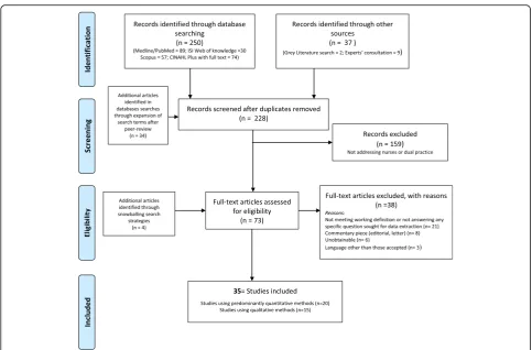 Fig. 1 Flow diagram of the scoping literature review process
