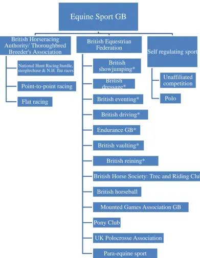 Figure 1: An overview of equine sporting disciplines in Great Britain; *FEI 