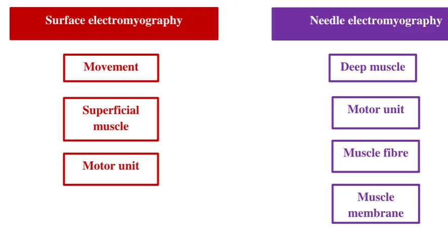 Figure 5: Application of different types of EMG (adapted from Drost et al., 2006) 
