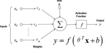 Figure 2.1: Single neuron