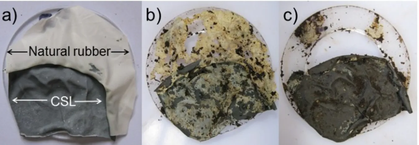 Figure 1 The effect of composting on CSL painted on the underside of natural rubber: a) before composting, b)