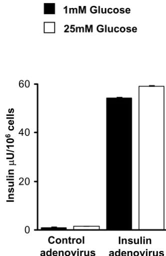 Figure 1secrete insulinHepa1-6 cells expressing the human insulin gene produce and Hepa1-6 cells expressing the human insulin gene pro-duce and secrete insulin