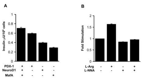 Figure 6mary hepatocytes expressing human insulin or the beta-cell was measured in three independent experiments and is expressed as fold difference of insulin secretion of 1 mM glu-Treatment with L-arginine induces insulin secretion in pri-specific transc
