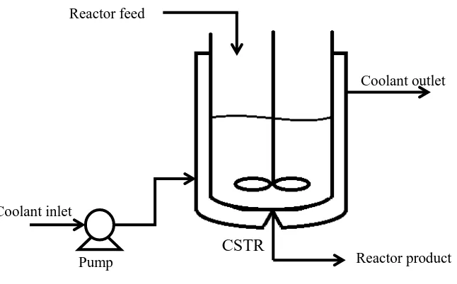Figure 1 CSTR diagrammatic sketch 