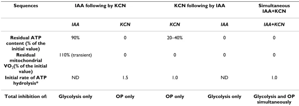 Table 1: Calculation of mitochondrial ATP synthesis yield in isolated liver perfused with Krebs-Henseleit Buffer or substrates
