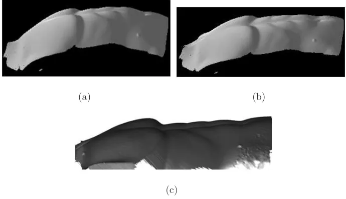 Figure 6: (a) Integrated surface using traditional PS. (b) Integrated surface using Proposed