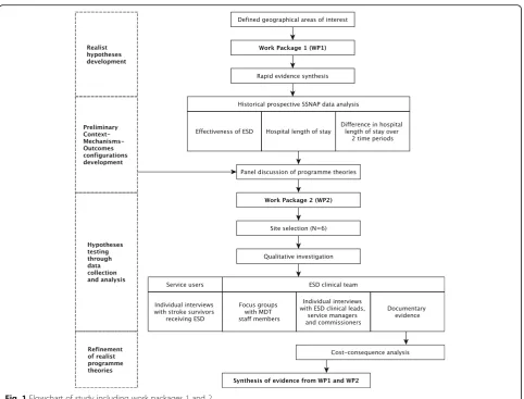 Fig. 1 Flowchart of study including work packages 1 and 2