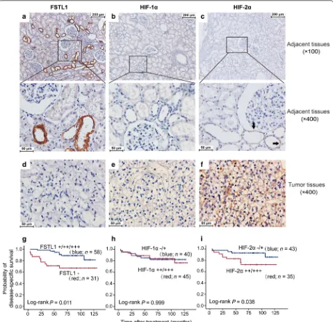 Table 2 Comparison of FSTL1 expression between tumor and paired adjacent tissues of 67 patients with clear-cell renal cell carcinoma