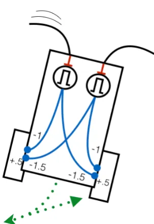 Figure 8 - Neural Vehicle with a pair of monostable autapses 
