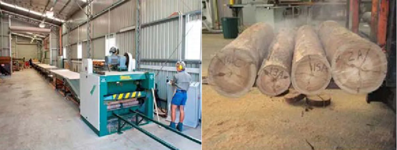 Figure 3.9. Spindleless lathe equipment and small-diameter peeler billets at the Wood  Composites Facility, DAF Salisbury Research Facility 