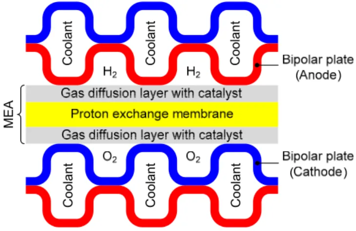 Figure 1. Schematic representation of a proton exchange membrane fuel cell composed by the bipolar  plates (BPPs) and the membrane electrode assembly (not to scale)