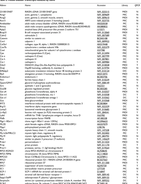 Table 2: Mouse bladder transcripts isolated by SSHs