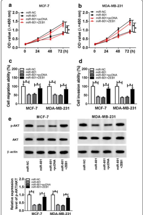 Fig. 6 Effects of miR-601 mimic and ZEB1 overexpression on BC progression. MCF-7 and MDA-MB-231 cells were transfected with miR-NC, miR-601, miR-601 + pcDNA, miR-601 + ZEB1, respectively