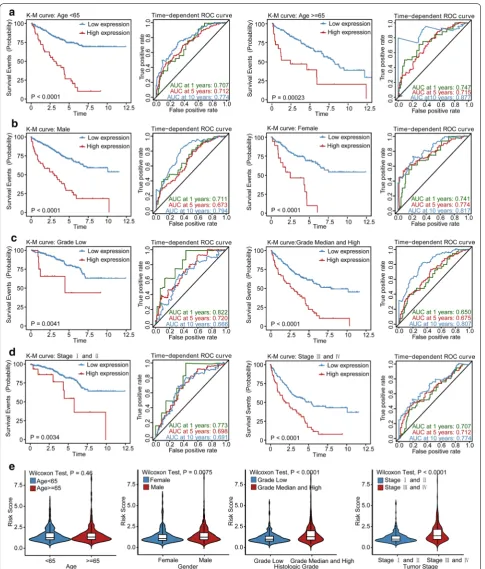 Fig. 5 Stratification analysis of the LPM. Kaplan–Meier curves and time-dependent ROC curves illustrate the prognostic value of LPM based on the stratification of different clinical features