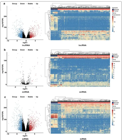Fig. 1 Identification of differentially expressed genes. Volcano plots and heatmap plots of differentially expressed lncRNAs (a), miRNAs (b), and mRNAs (c) between KIRC samples and adjacent normal samples