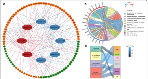 Fig. 2 Construction and functional enrichment analysis of the ceRNA network. a The ceRNA regulatory network in KIRC