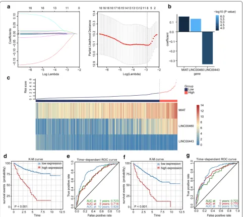 Fig. 3 The lncRNA prognostic model. calculate the best lambda, which leads to a minimum mean cross-validated error