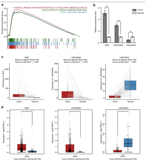 Fig. 4 GSEA and validations of three lncRNAs. a GSEA plot shows the top three immune processes associated with high risk score