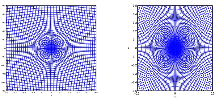 Fig. 4.1.skewness (right). The leaf like structure of the mesh in the outer region is apparent in boththe action of a radially symmetric solution of the Monge-Ampere equation forα1 = 10The mesh generated from the image of a regular square mesh (60 × 60) under a = 0 when, α2 = 200, θ = 1.2 (left) and when α1 = 50, α2 = 100, θ = 3 showing greaterexamples.