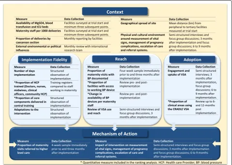 Fig. 2 Implementation domains and methods of data collection. Asterisk denotes quantitative measure included in the ranking analysis