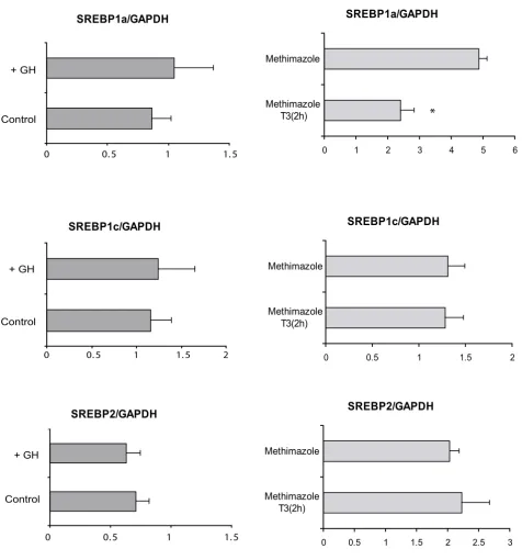 Figure 3Effects of GH and T3 on SREBP expression measured by real-time PCREffects of GH and T3 on SREBP expression measured by real-time PCR