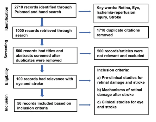 Table 1. Flow chart for the literature review. 
