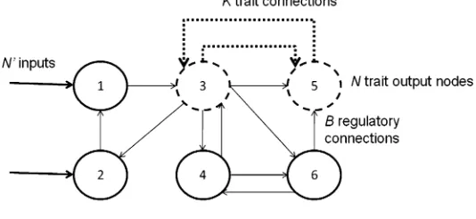 Figure 2. Example RBNK model with an equal number of input and output nodes. Dashed lines and nodes indicate wherethe NK fitness landscape is embedded into the RBN model (refer to Figure 1).