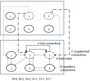 Figure 3. Example RBNKCS model. Connections for only one of the two coupled networks are shown for clarity.