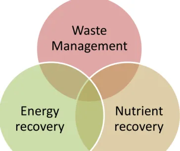 Figure 1.1 The three main goals of anaerobic digestion of organic wastes 