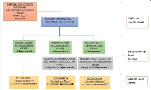 Fig. 2 The national nutritional programs, the managing institutions and the “Eat and Move Well!” interventions relationships