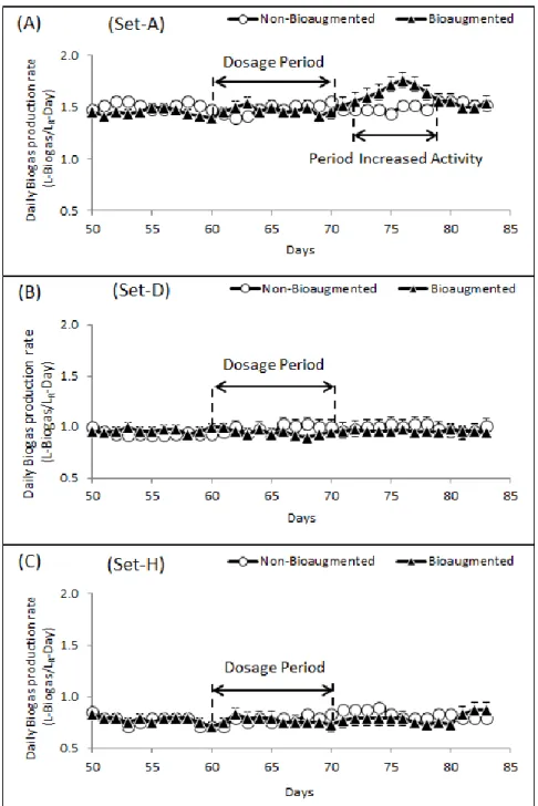 Figure  2:  Daily  biogas  production  rate  observed  from  non-bioaugmented  and  bioaugmented  digesters  of  (A)  Set-A,  (B)  Set  D  and  (C)  Set  H,  respectively