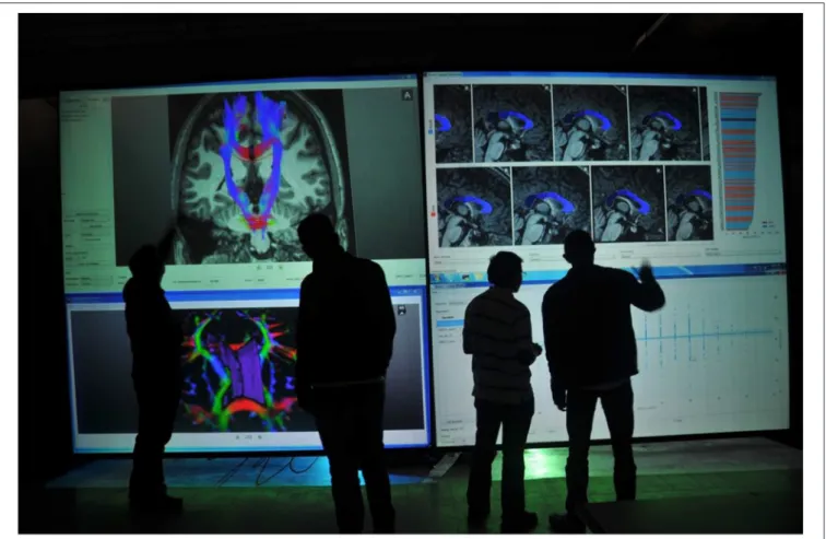 FIGURE 9 | An example of BRAVIZ running on a large display in a collaborative setting.