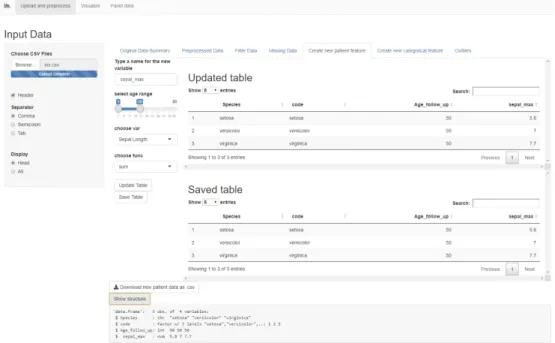 Figure 10. The "Create a new patient feature" tab in the Shiny app.