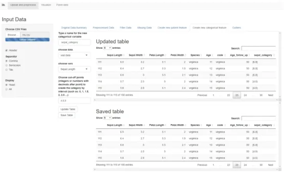 Figure 11. The "Create a new categorical feature" tab in the Shiny app.