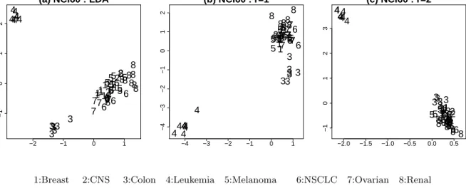 Figure 8. NCI60 : the 2-dimensional projection (p=30). (a) I LDA : The Leukemia and Colon classes are separated from the others