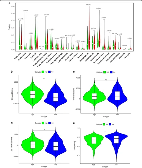 Fig. 10 Relationship between this prognostic index and immune cell infiltration (immune microenvironment