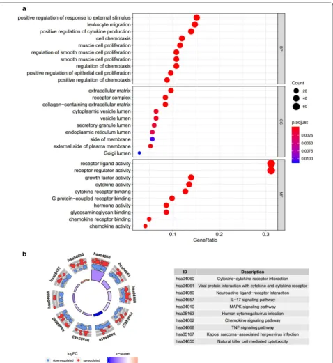 Fig. 2 Genes ontology (GO) analysis of 260 differentially expressed IRGs (a). Enriched pathways of 260 differentially expressed IRGs according to Kyoto Encyclopedia of Genes and Genomes (KEGG) analysis (b)