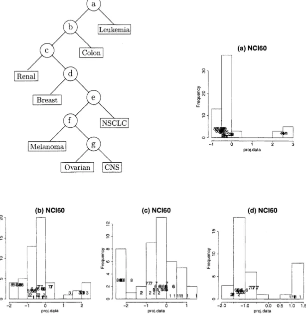 Figure 9.  NCI60 data  -  ID projection  (p=30). 