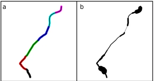 Figure 2: Illustration of the method of splitting the route into discrete segments using the line segment function from the stplanr R package (a) and cycling potential (under the Government Target scenario) severed by the proposed rail line (b), in which l