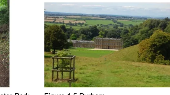 Figure 1.4 Woodchester Park 