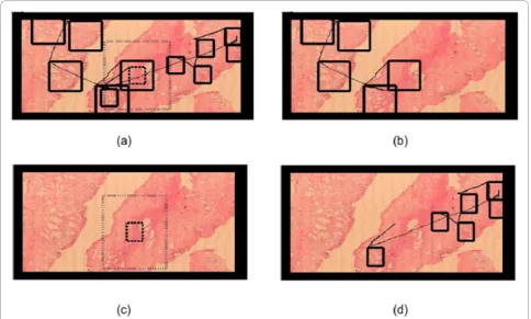 Figure 5 Complete navigation example. Complete navigation, split into four sequential panels (a, b, c and d) for the sake of understanding.Panel (a) shows the whole picture, which obviously looks very jammed by the number of windows and window movements