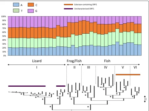 Fig. 3 Phylogenetic relationships among L2 elements based on the reverse transcriptase domains of ORF2