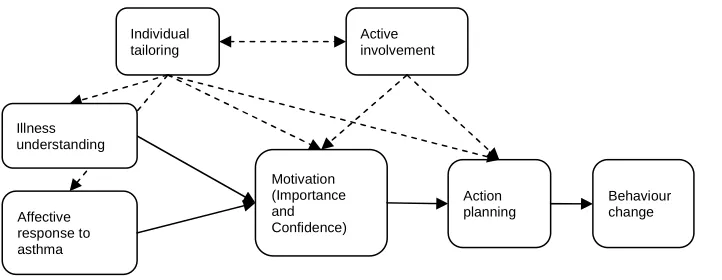 Figure 2: The revised process model for the MESH intervention (Denford et al., 2013) 