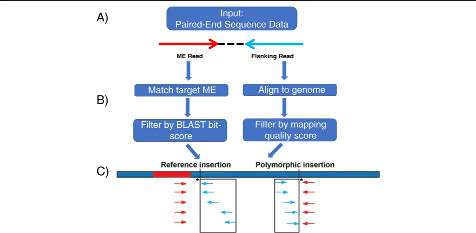 Fig. 2 Computational data analysis overview.red (ME Reads) and blue arrows (Flanking Reads), respectively.identify recent insertions and are filtered based on the BLAST bit-score cutoff