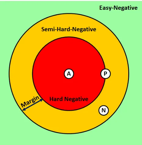 Figure 4.9: The corresponding location of the expected A, P and N examplesin the embedding space with respect to the semi-hard-negative mining.